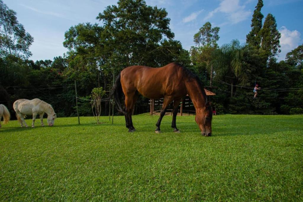 Aldeia Parque Pousada Rural São Roque Exterior foto